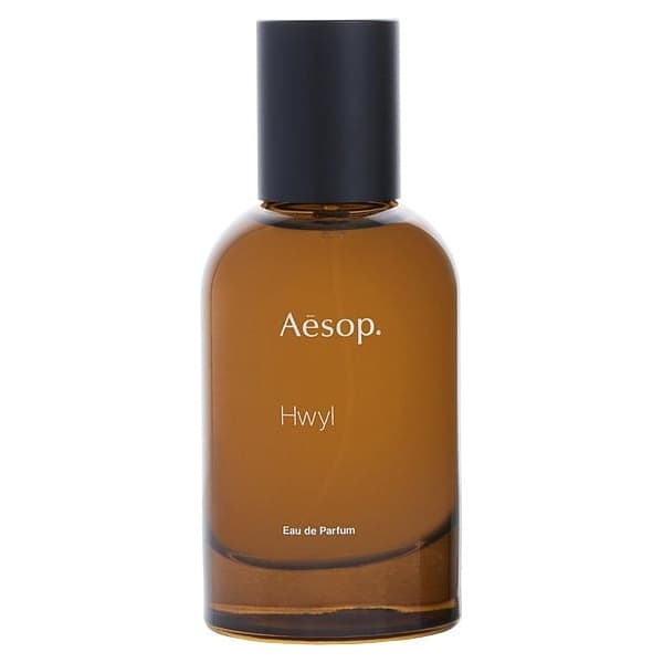 Aesop Hwyl
