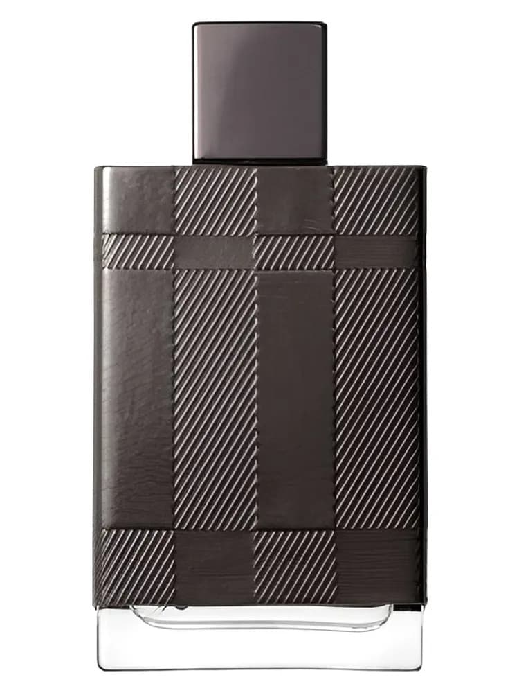 Burberry London for Men Special Edition 2009 for men