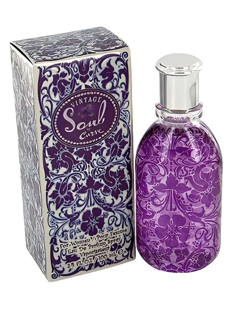 Curve Soul Vintage for women