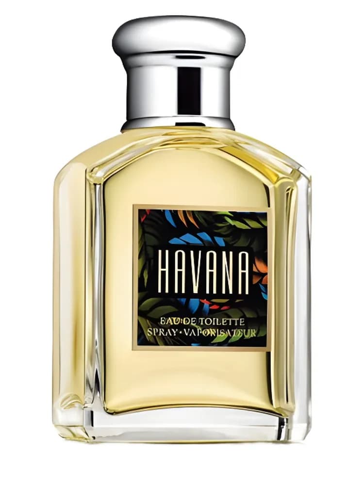 Havana for men
