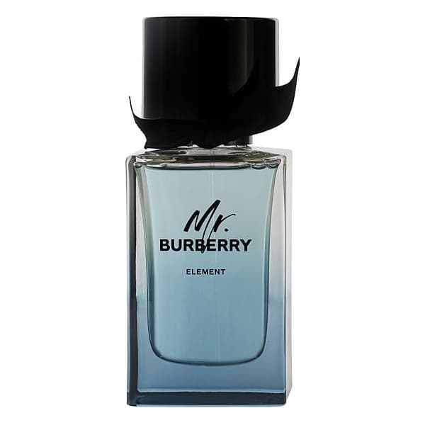 Mr Burberry Element