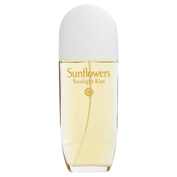 Sunflowers Sunlight Kiss