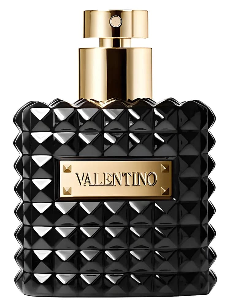 Valentino Donna Noir Absolu for women