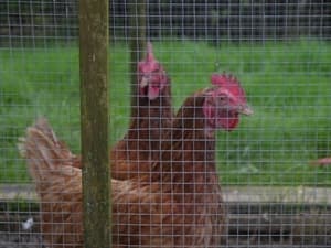 Accommodation at Hurst Farm in london biggin hill airport