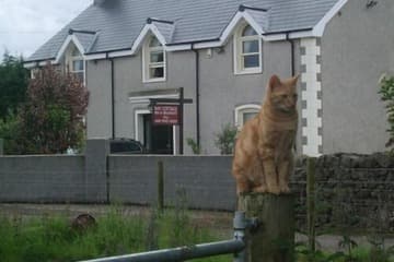 Accommodation at Bay Cottage B & B in belfast international airport