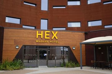 Accommodation at Hex Wildlife Hotel in austerfield