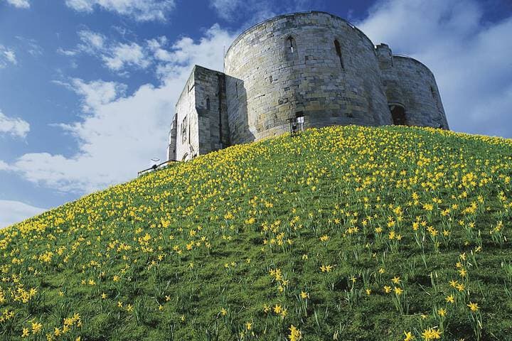 Serenity Inn the City Image 5