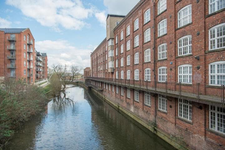 ChocoLets - The Yorkie Suite Image 9