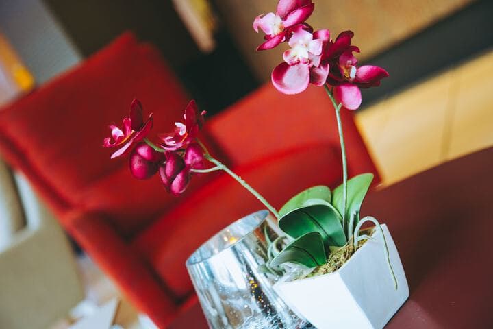 Holiday Inn York City Centre by IHG Image 4