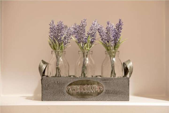 The Vanguard - York Residence Image 8