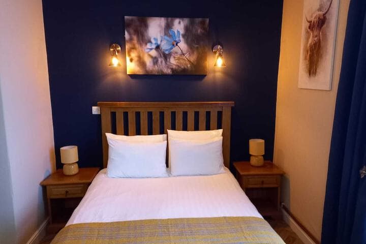 The Renishaw Image 11