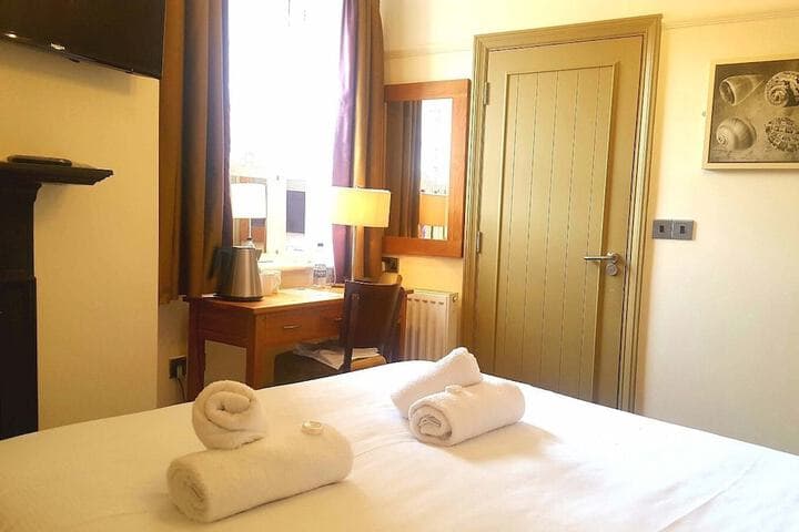 The Dolphin Image 12