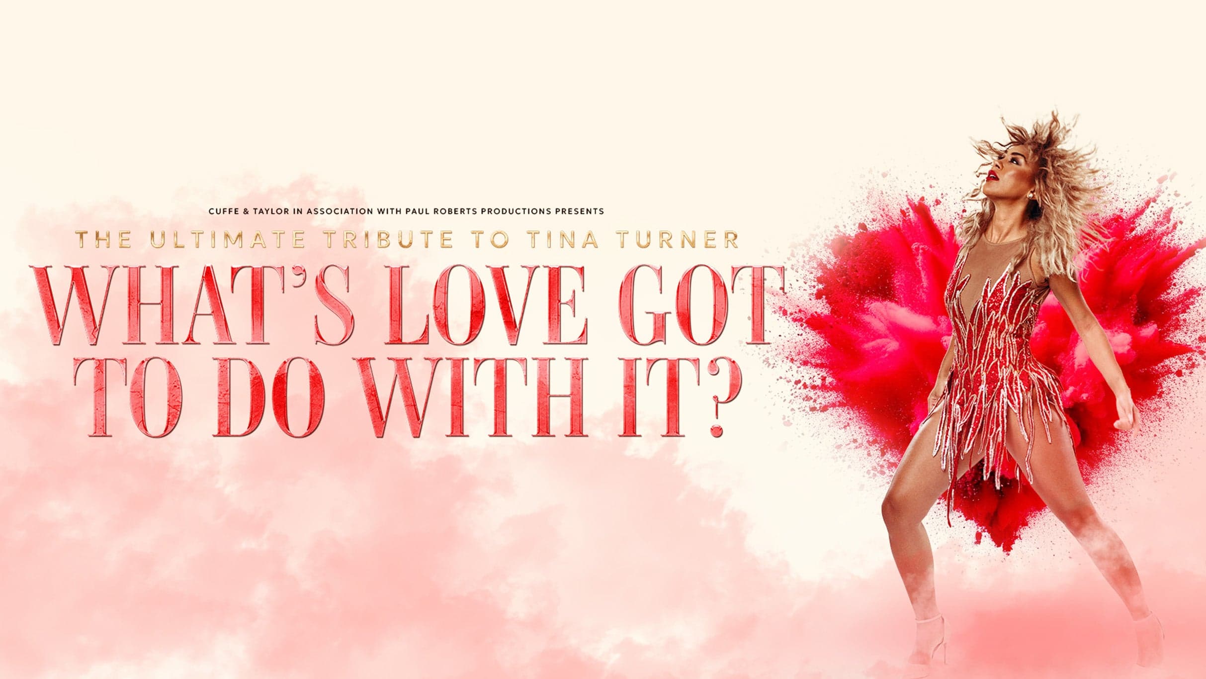 Event image for What's Love Got to do With it - Tina Turner Tribute