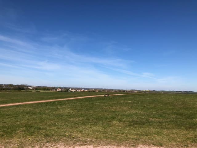 Inclusive Walking with Experience Community – The Land Trust