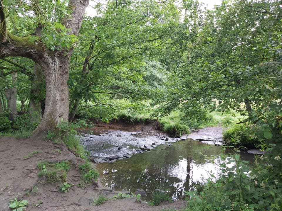 Family adventures at Meanwood Park