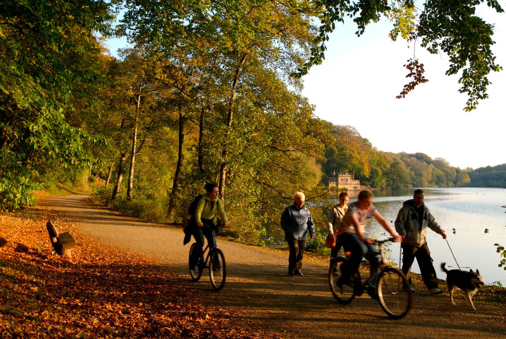 Leisure and Road Cycling