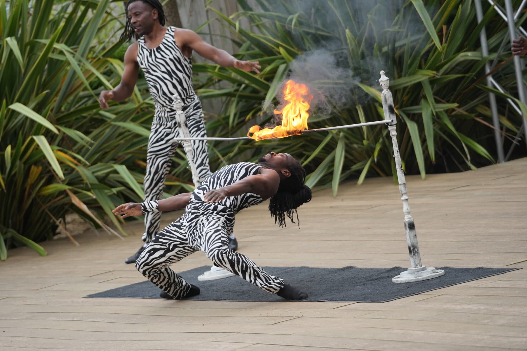 Discover Wildlife After Hours at Yorkshire Wildlife Park