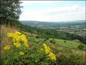 Visit Chevin Forest Park - Otley - Park in otley