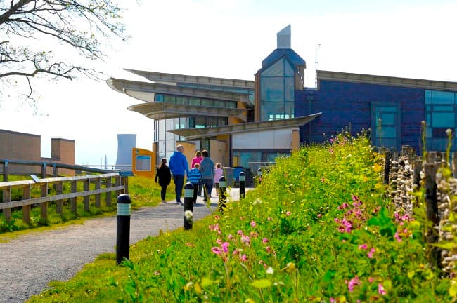 Visit RSPB Saltholme Nature Reserve - Park in middlesbrough