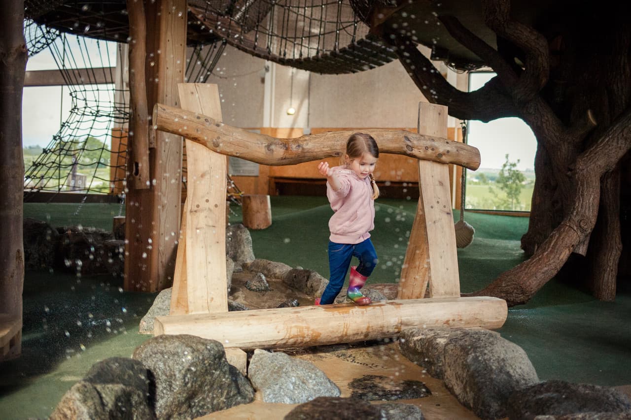 Family Fun At Williams Den - East Yorkshire - Family Attraction in north cave