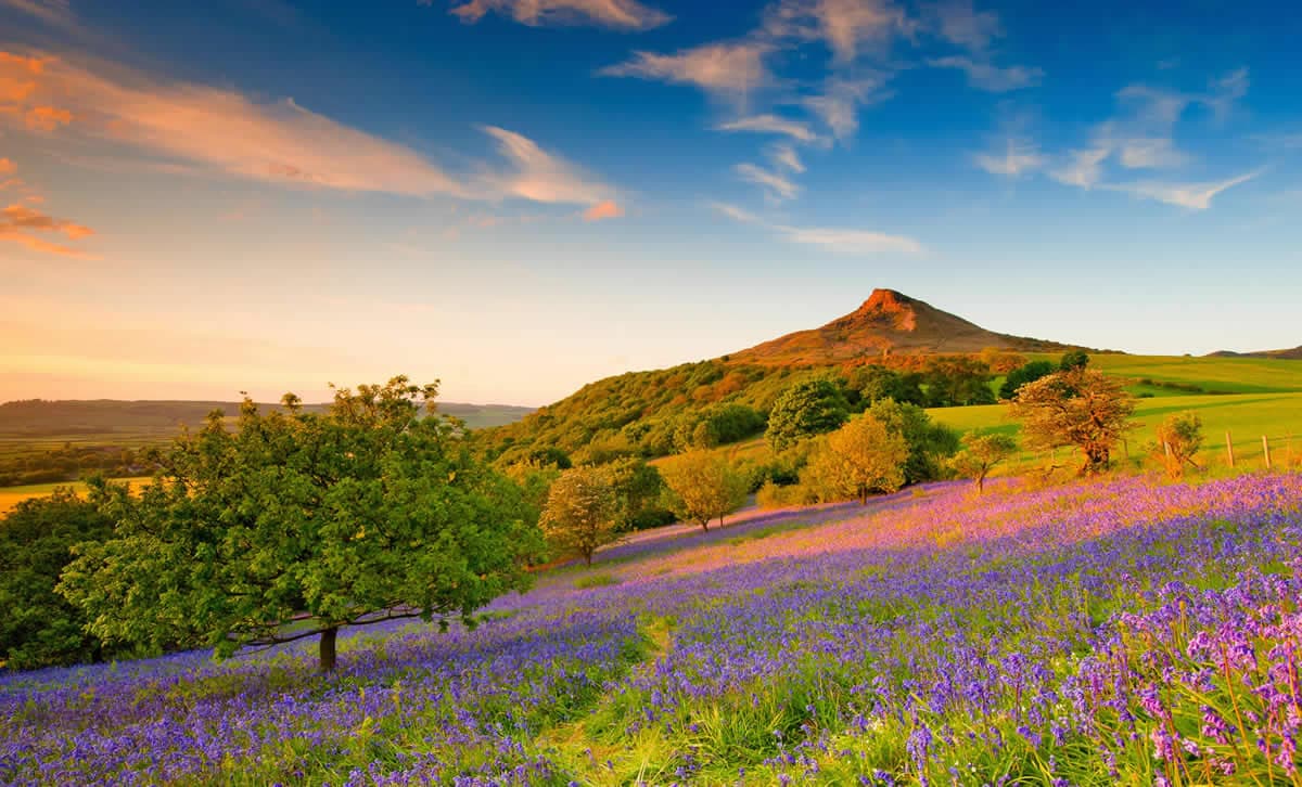 Roseberry Topping - Natural Features in great ayton