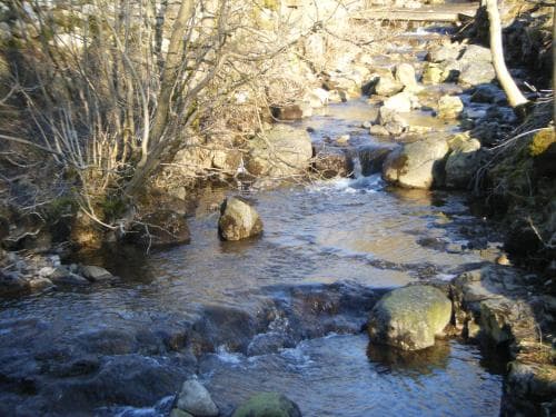 Accommodation at Pennycroft Guest House in kettlewell