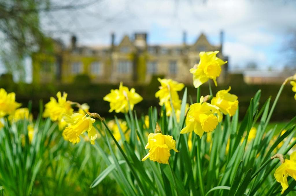 Accommodation at Gisborough Hall Hotel in marske