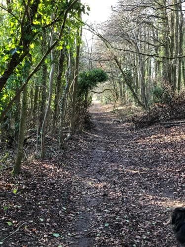 Accommodation at The Barn, Wolds Way Holiday Cottages, 2 bed ground floor in little weighton