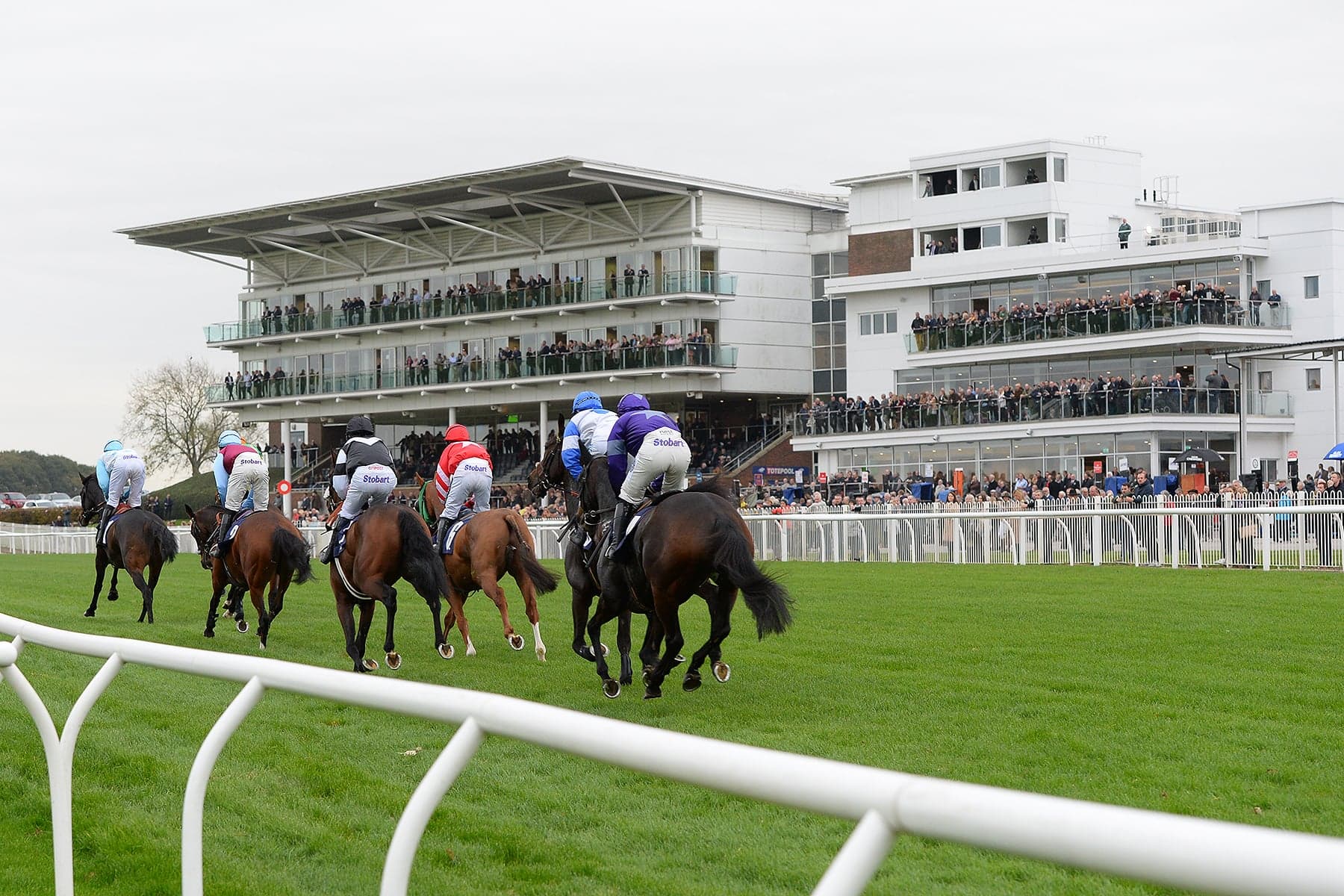 Event image for Wetherby Racecourse