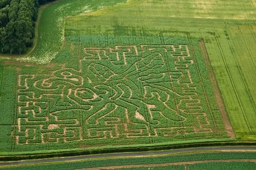 Beverley Maze - Garden in skidby