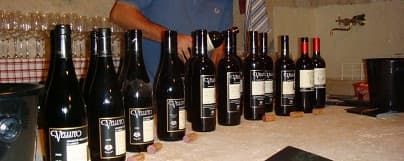 Buon Vino - Vineyard in giggleswick