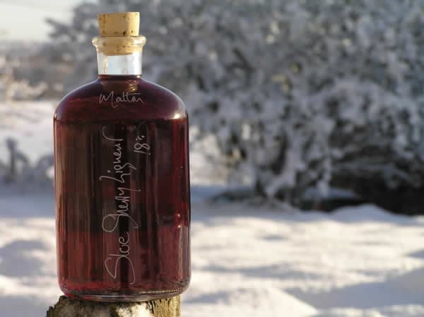 Demijohn - Shop in york