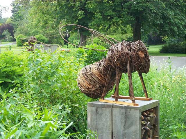 Dragon Willow - Attraction in church fenton