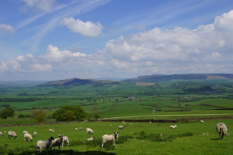 Accommodation at Eden in broughton craven