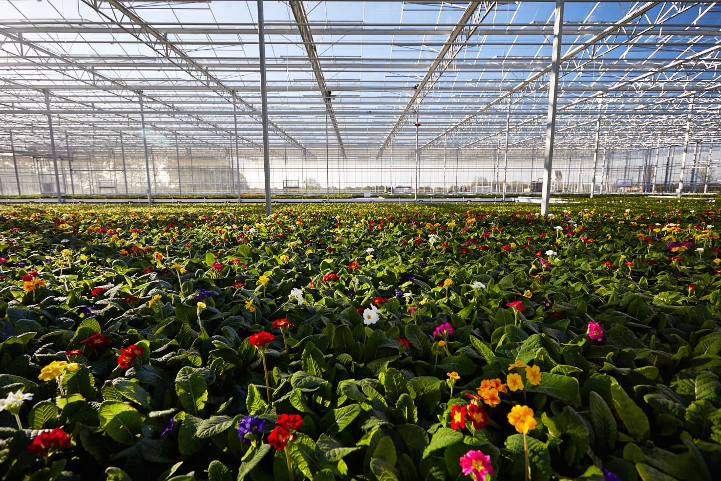 The Arium - Family Attraction in seacroft