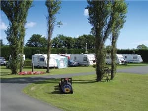 Jasmine Park - Campsite in brompton by sawdon
