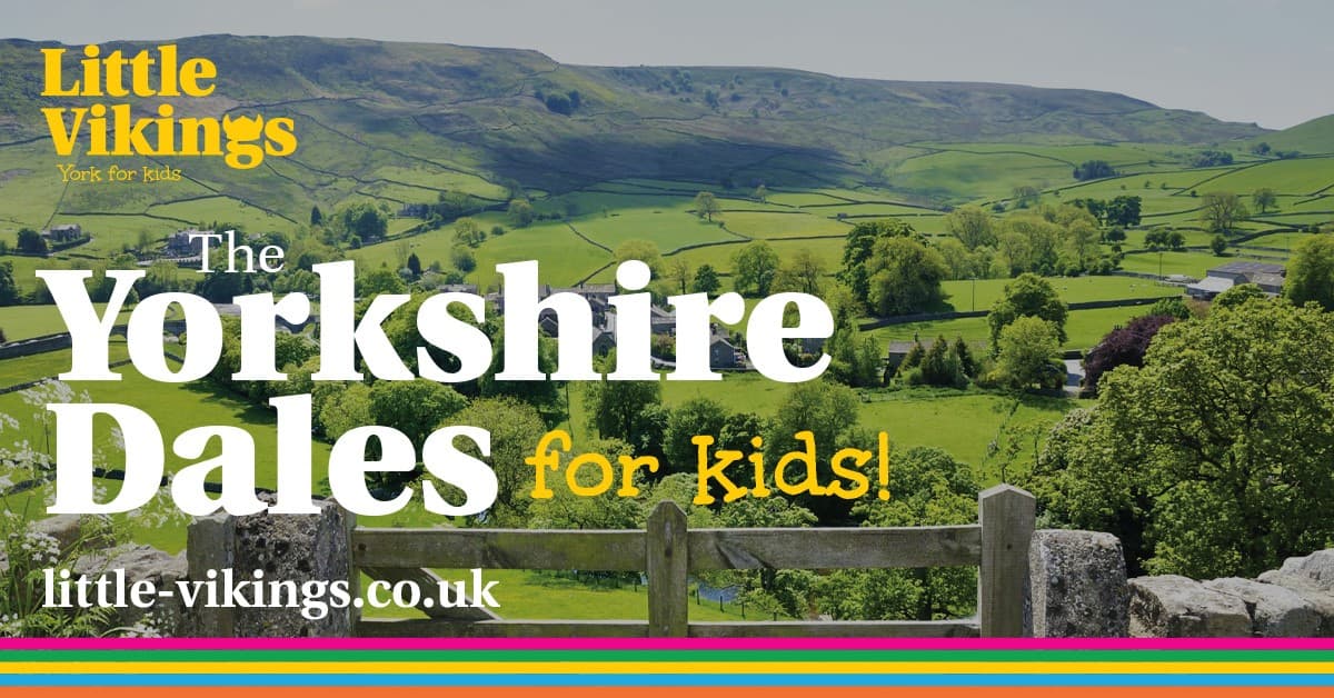 Little Vikings - Family Attraction in ripon