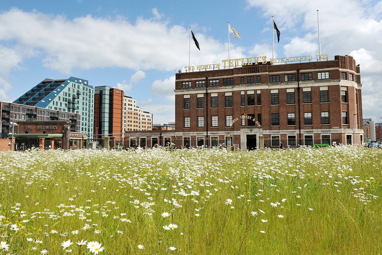 The Tetley - Museum in leeds