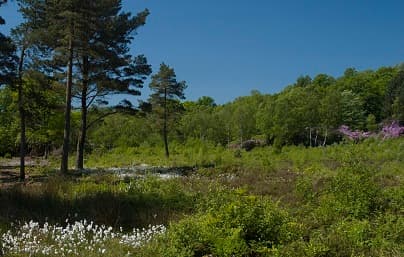 Roberts Park - Garden in bradford