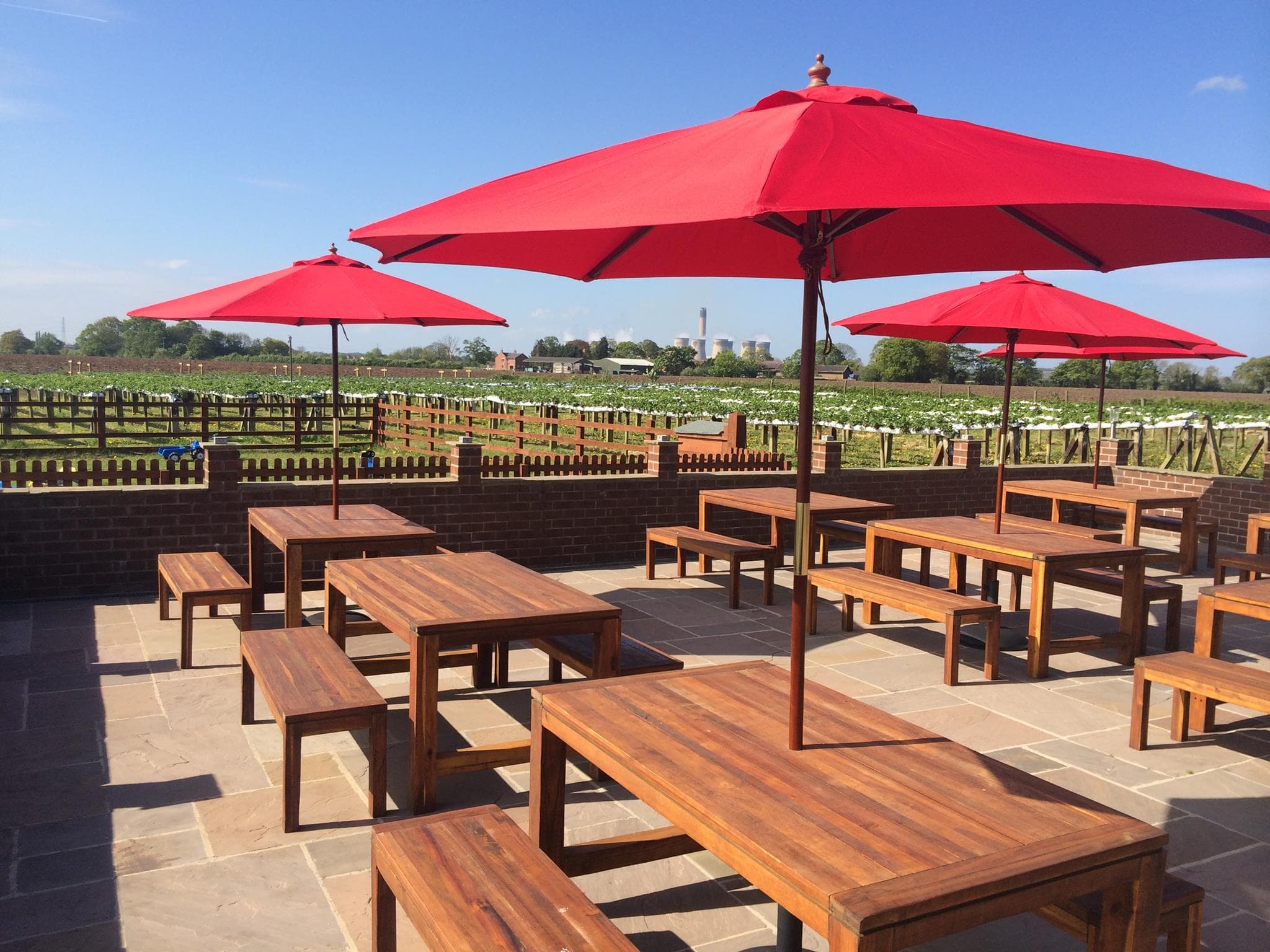 Spuds & Berries - Farm Shop in hemingbrough