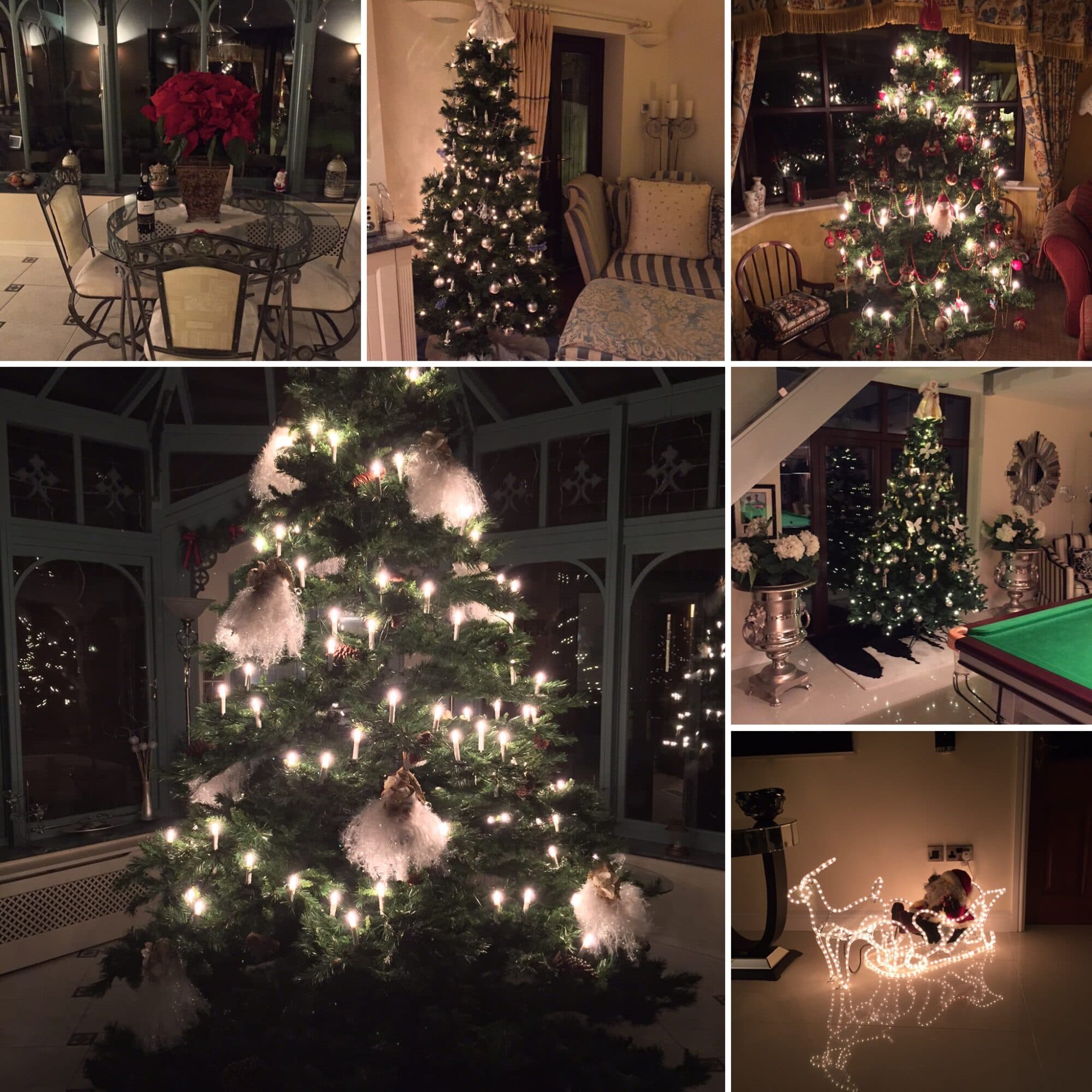 indoor- swimming pool at Truffle Lodge|Truffle Lodge back garden and conservatory||||||||