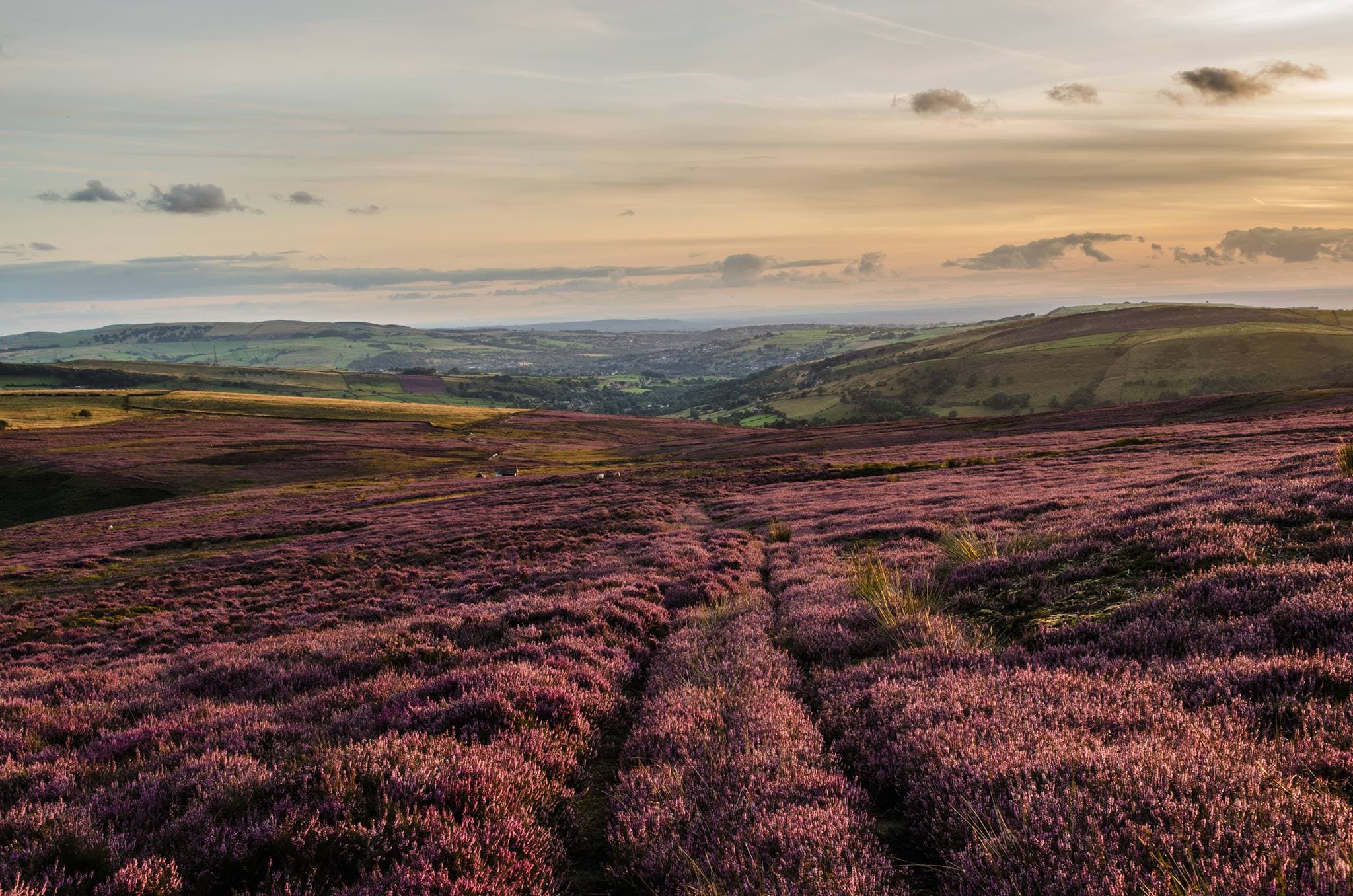 Pub Waggon & Horses in oxenhope