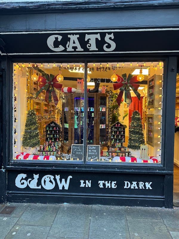 Gift shop window decorated with festive lights, trees, and colorful displays, featuring "CATS" and "GLOW IN THE DARK" signage.