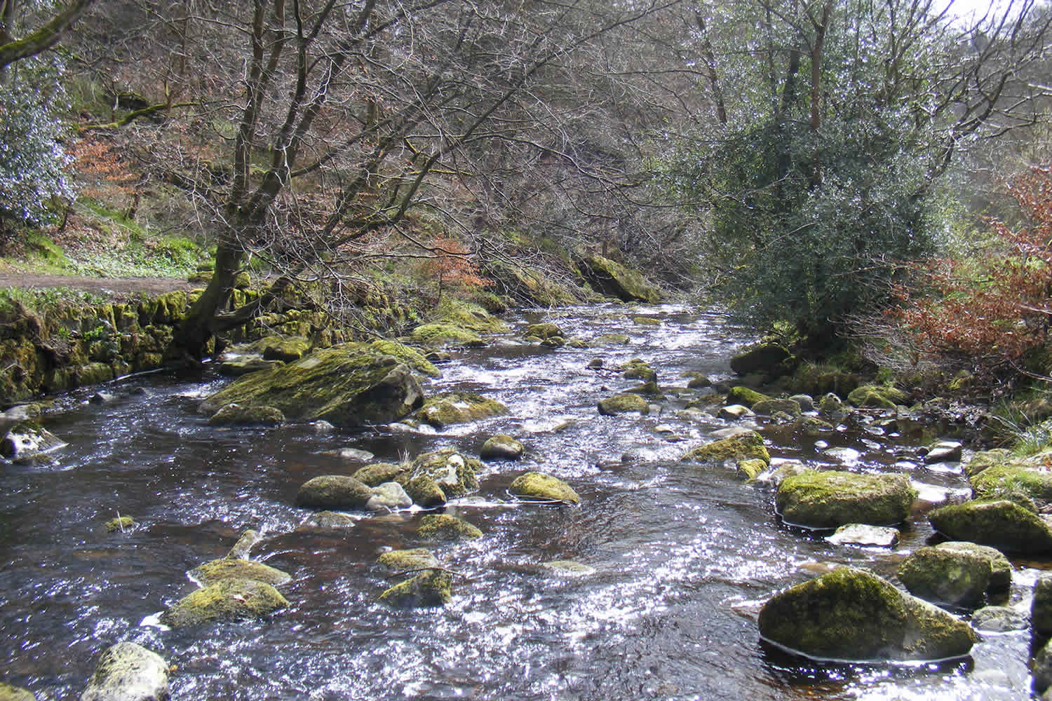 Visit Hardcastle Crags - Prices, Times, Visitor Info Image 3
