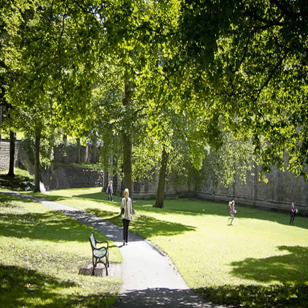 Kirkstall Abbey Image 4