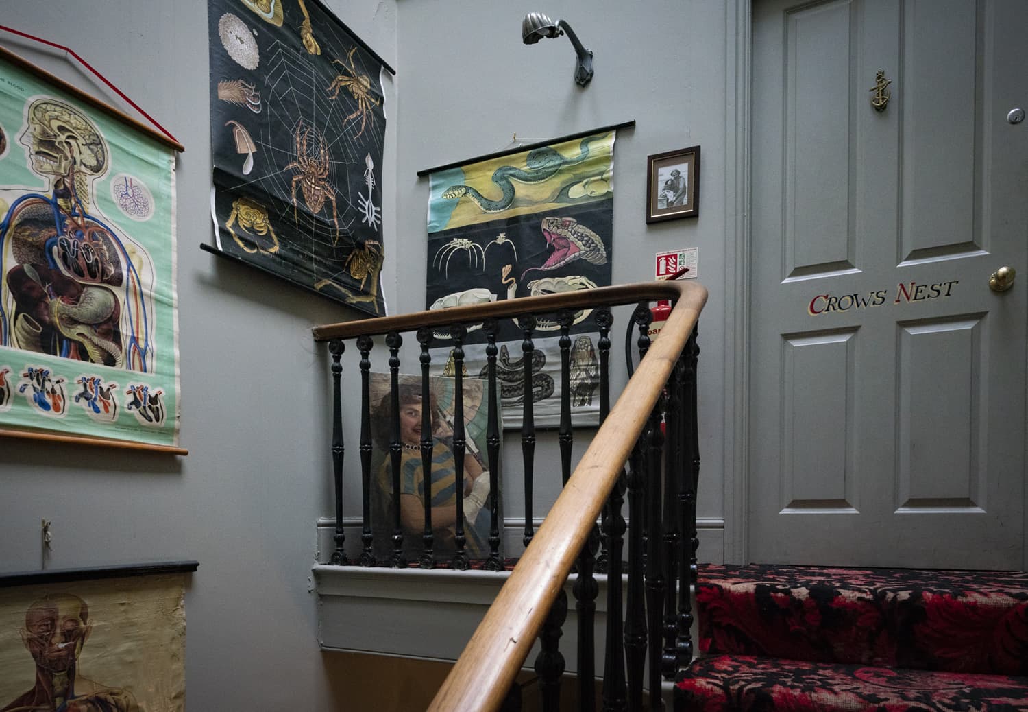 La Rosa Hotel Image 4