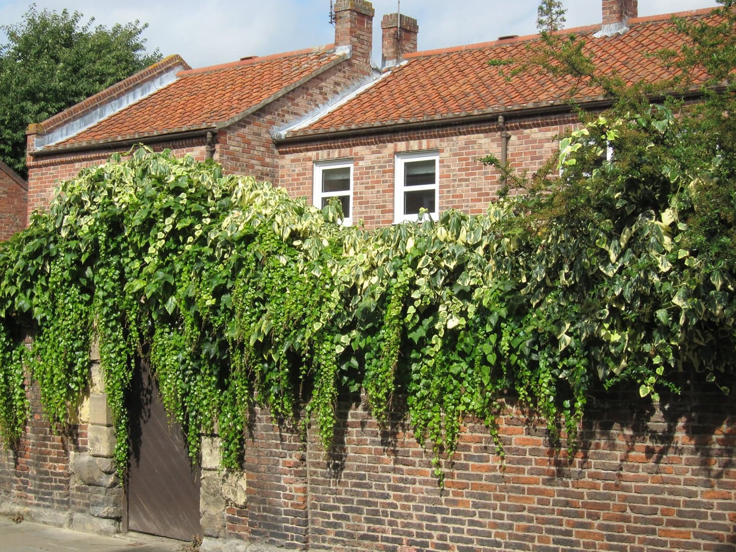 Lavender Cottage Image 3