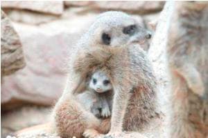 Roundhay Park Image 4