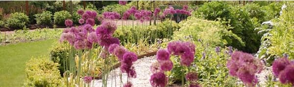 Skipwith Hall Image 2