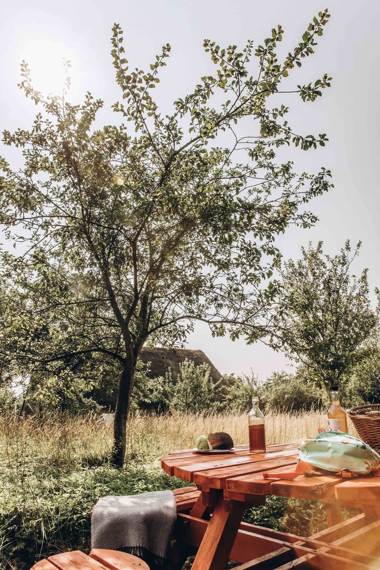 Ryedale Folk Museum Image 6